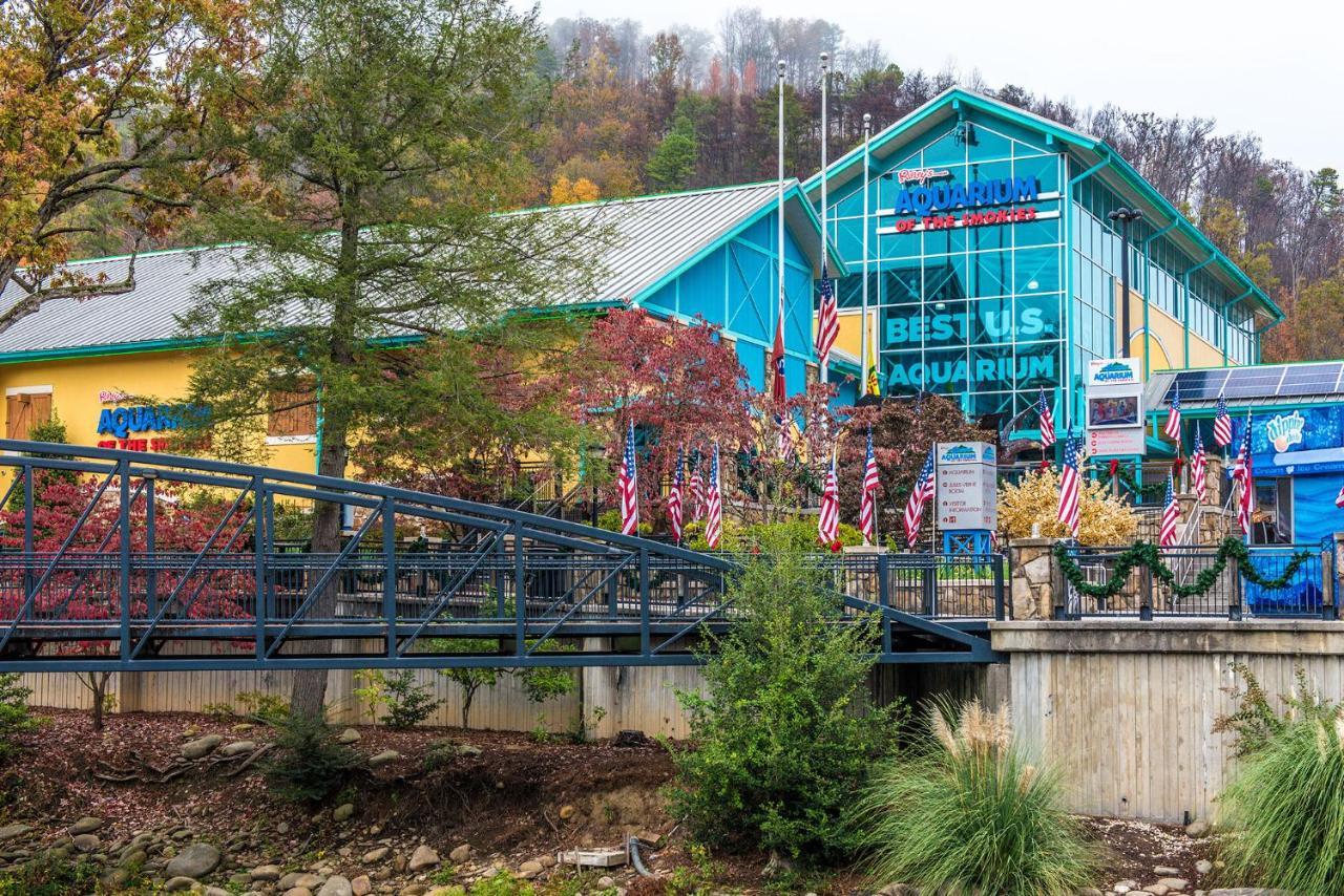 Huckleberry Ridge, 2 Bedrooms, Hot Tub, Pool Table, Pet Friendly, Sleeps 8 Pigeon Forge Buitenkant foto